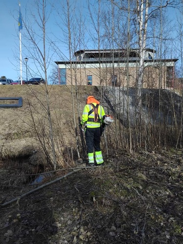 Företagsbild på Grönskan – Ett arboristföretag i Säter 2025
