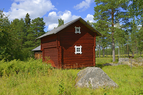 Om Hälsovaktmästaren