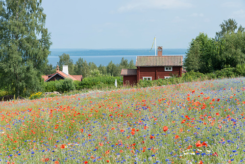 Bild på Hälsovaktmästaren AB – målare i Borlänge