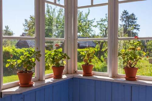 Inglasad veranda med blå träpanel och krukväxter i terrakottakrukor på fönsterbrädan, utsikt mot grön trädgård.