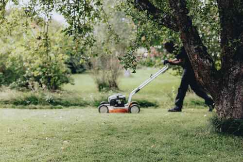 Närbild på en person som klipper gräsmattan med en gräsklippare i en lummig trädgård.