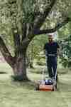 Grönaberg är arborist i Borlänge