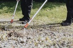 Grönaberg är arborist i Borlänge