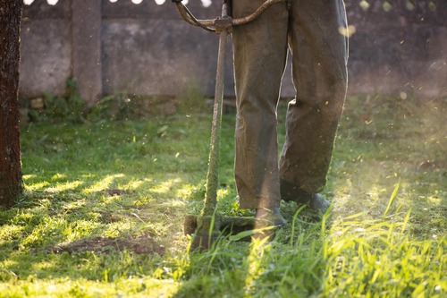 Gräsklippning Enskede