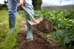 Bild på JKE Fastighets & Trädgårdstjänst AB – arborist i Södermanlands län