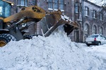 Företagsbild på JKE Fastighets & Trädgårdstjänst AB – arborist i Södermanlands län