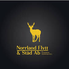 Norrland flytt städ AB logotyp