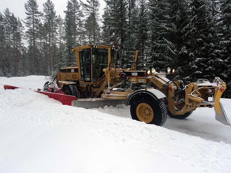 Markabete Mora omslagsbild