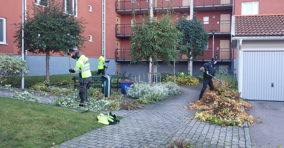 Bild på JKE Fastighets & Trädgårdstjänst – arboristföretag & arborist i Katrineholm (Södermanlands län)
