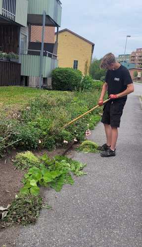 Bild på JKE Fastighets & Trädgårdstjänst – arboristföretag & arborist i Katrineholm (Södermanlands län)