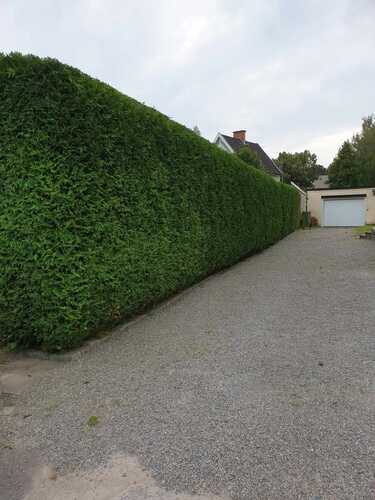 Bild på JKE Fastighets & Trädgårdstjänst – arborist i Katrineholm