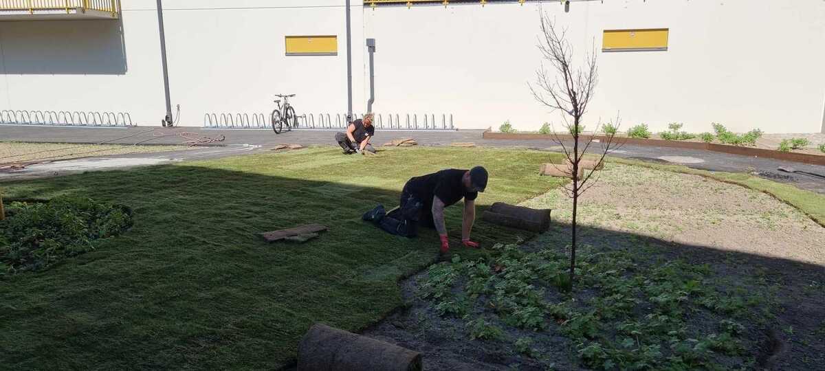Bild på JKE Fastighets & Trädgårdstjänst – arboristföretag & arborist i Katrineholm (Södermanlands län)