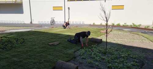 Bild på JKE Fastighets & Trädgårdstjänst – arboristföretag & arborist i Katrineholm (Södermanlands län)