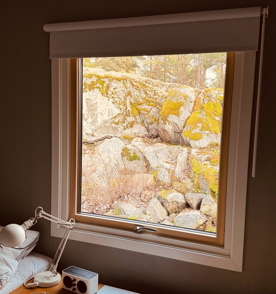 Bild från Roslagsfönster