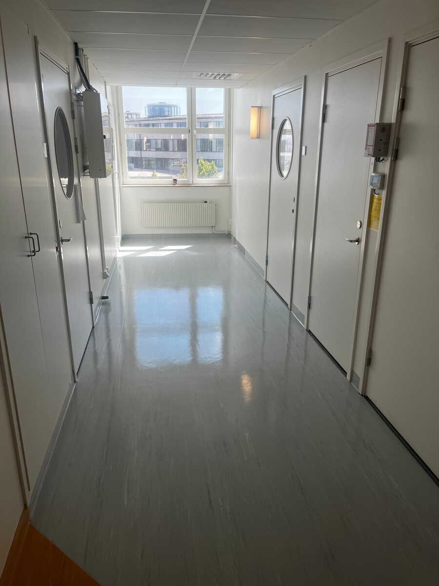 Blankpolerat golv i korridor efter golvvård i fastighet.