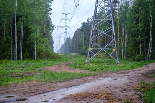 Kraftledningsstolpar och högspänningsledningar i skogsområde