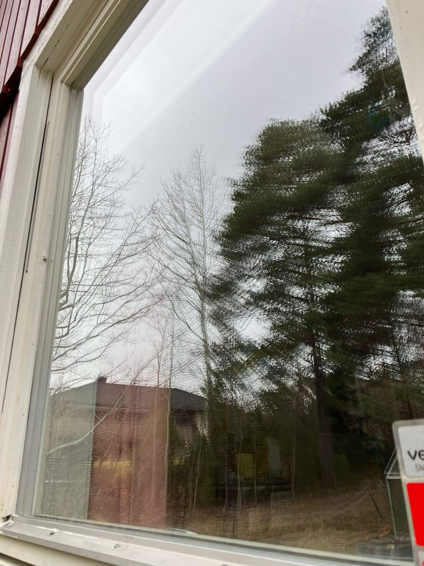 Rengjort fönster med klar utsikt mot träd