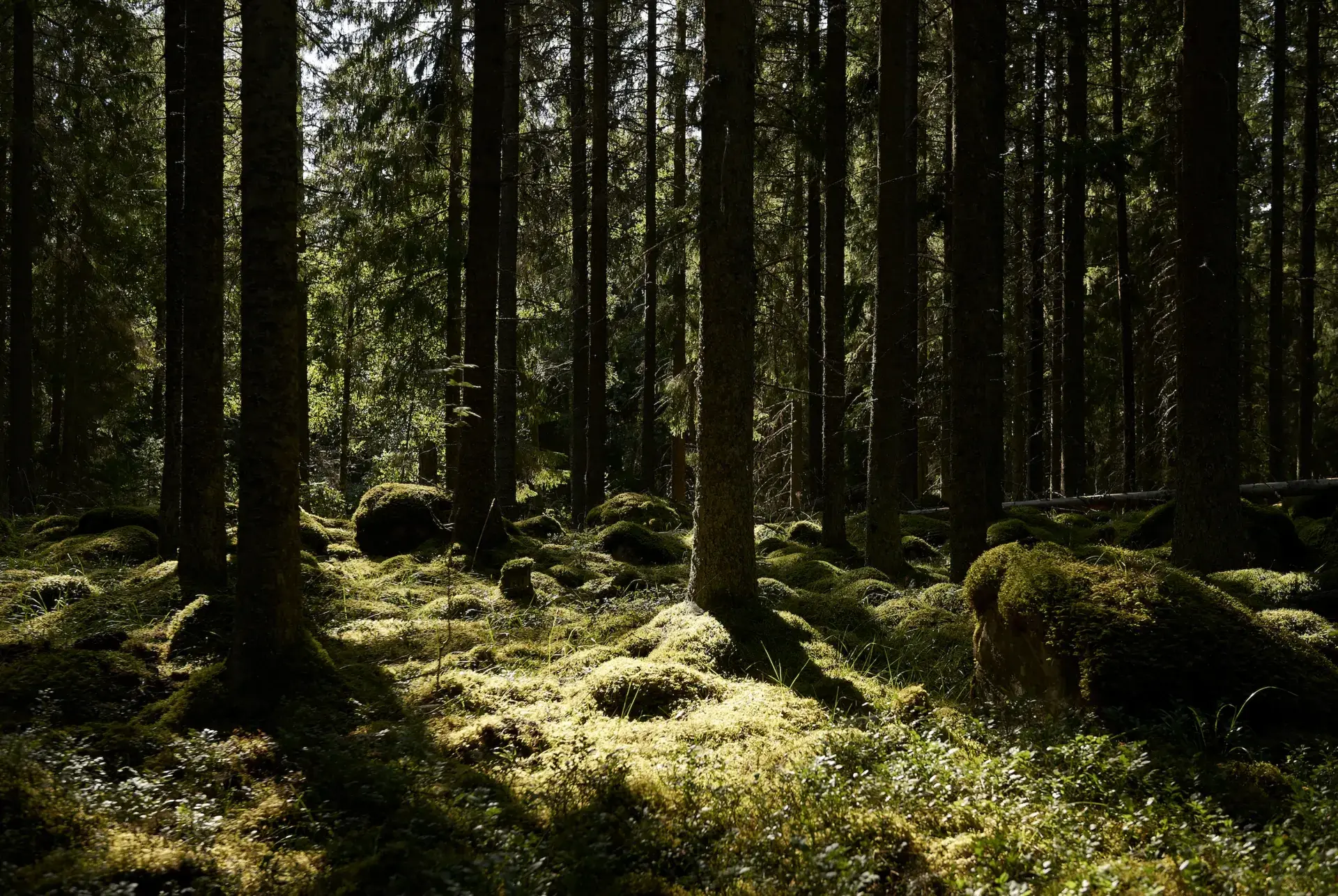 Isolering i Dalarna