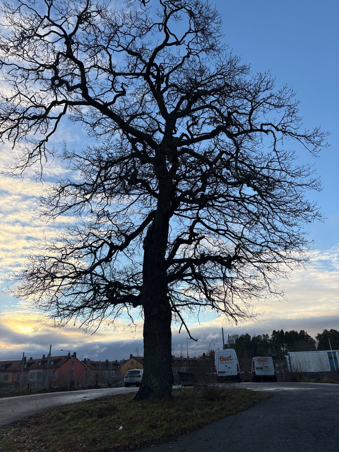 Totalmark entreprenad Stockholm AB bild