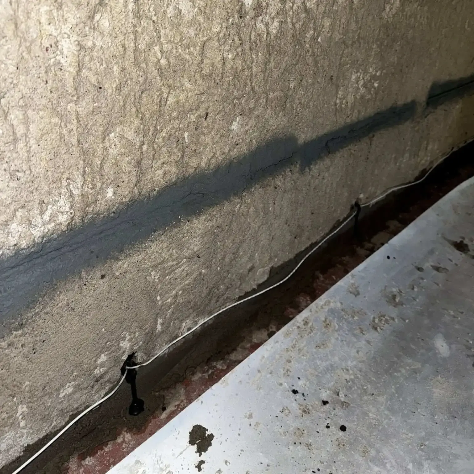 5 tecken på att du behöver dränera huset - utan att förstöra trädgården