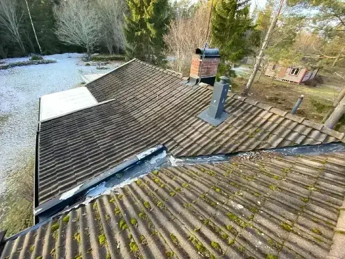 Flygbild över äldre tak med mossa och beväxning, i behov av åtgärd