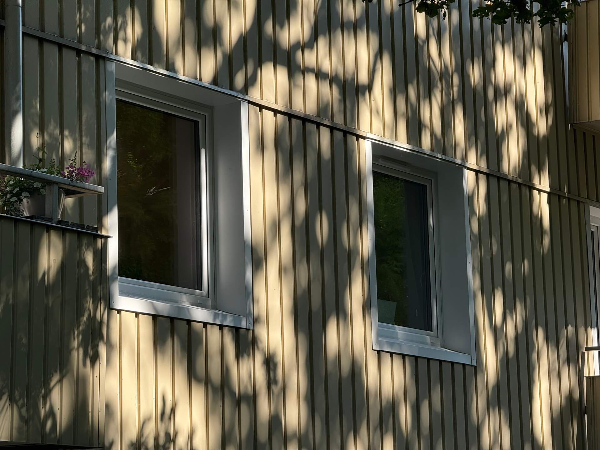 Närbild på nyinstallerade vita fönster med träskuggor på ljus vertikal träpanelfasad