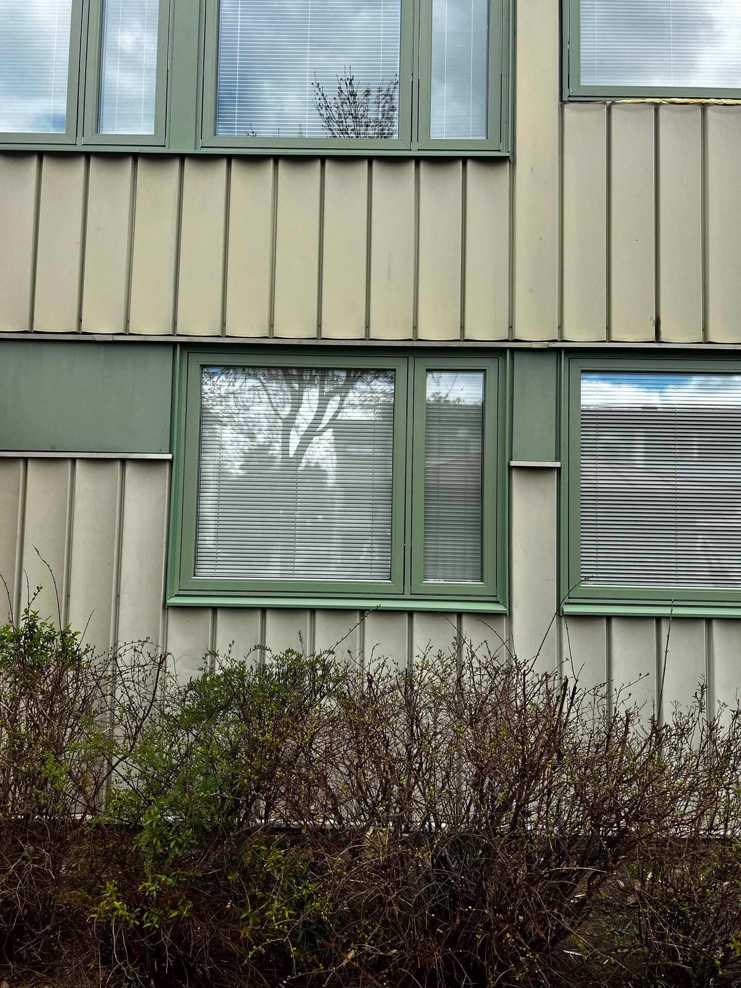 Nyinstallerade fönster med gröna karmar och persienner på grön träpanelfasad