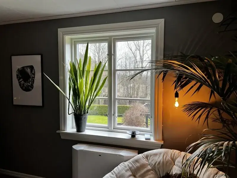 Villa med nya fönster
