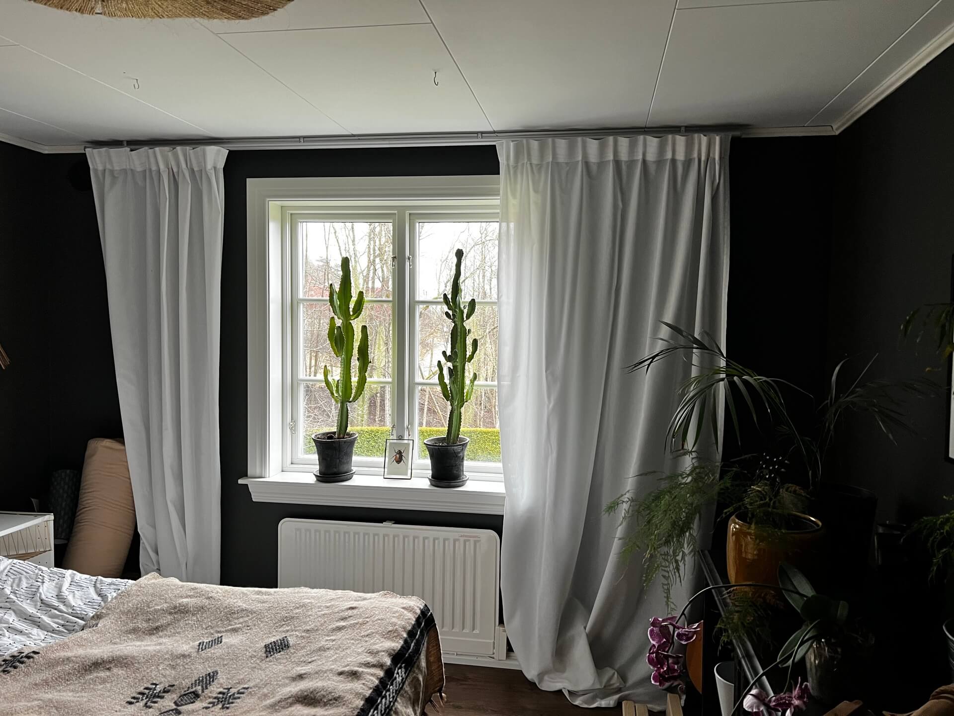 Närbild på nyinstallerat fönster med vit karm och fönsterbänk med kaktusar i mörkt rum