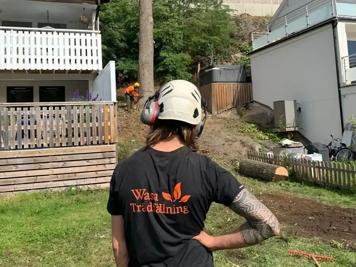Wasa trädfällning