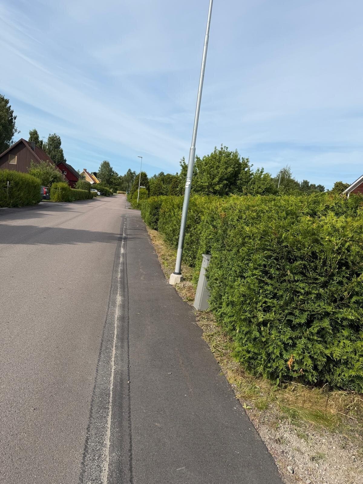 Klippt häck längs en gång- och cykelväg efter häckklippning i Vålberg