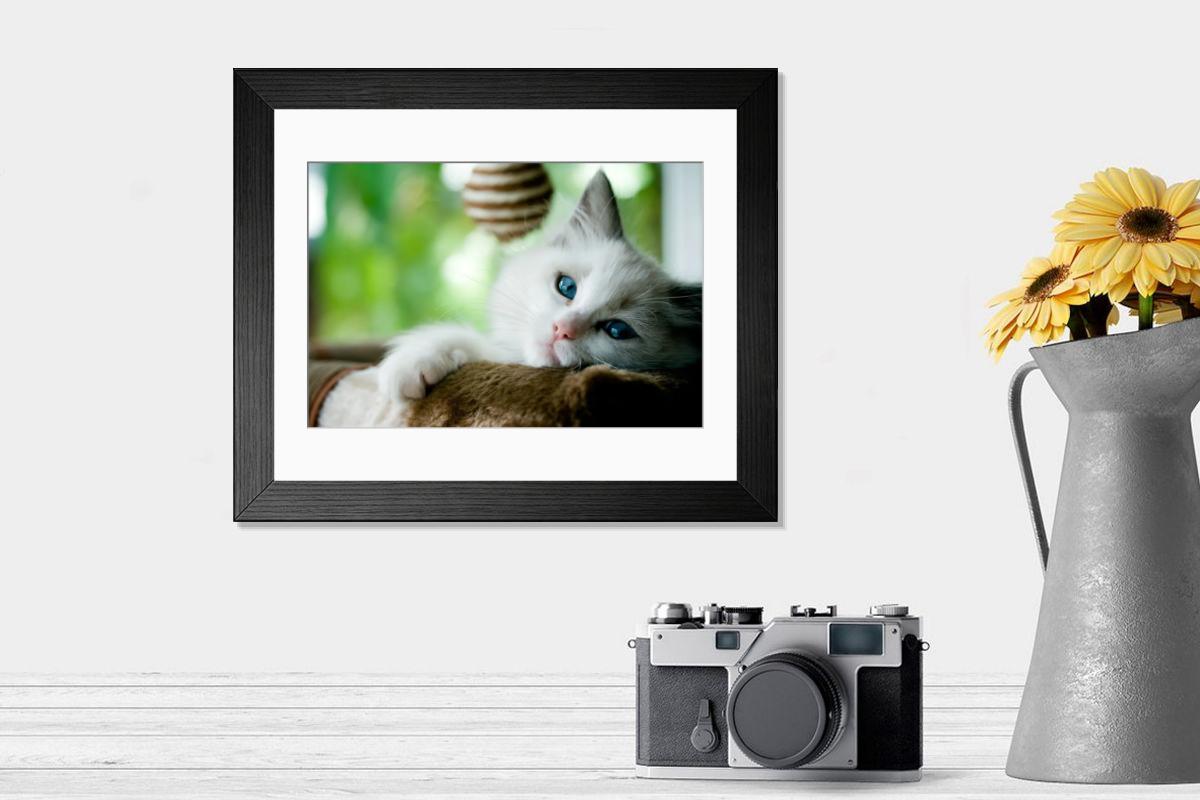 product preview 0