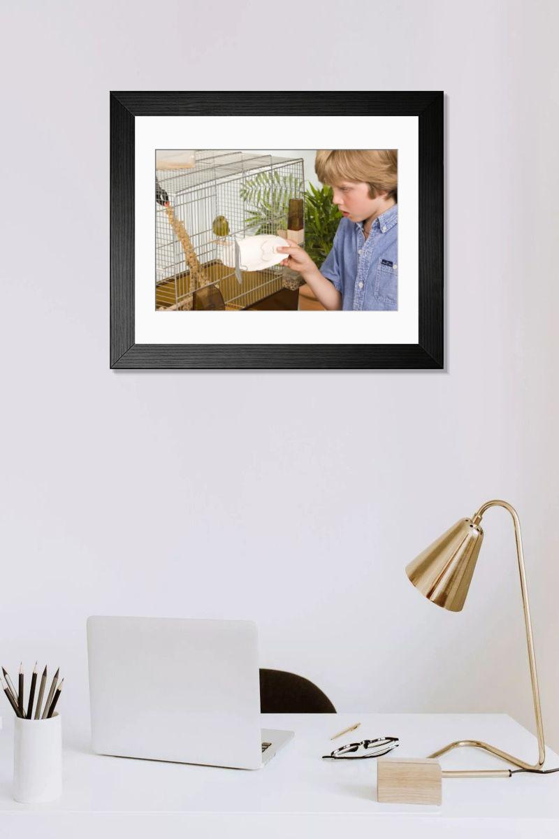 product preview 0