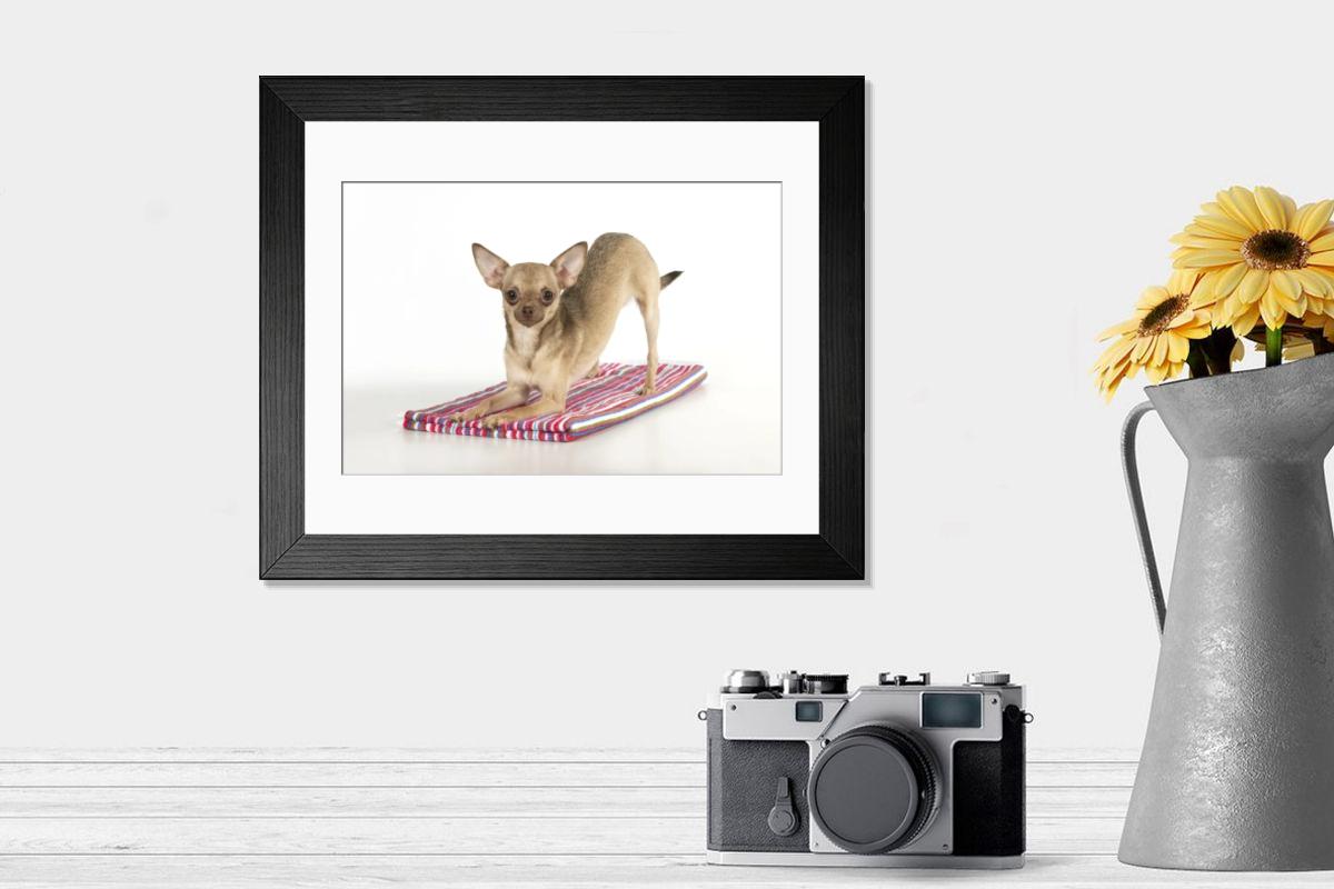 product preview 0