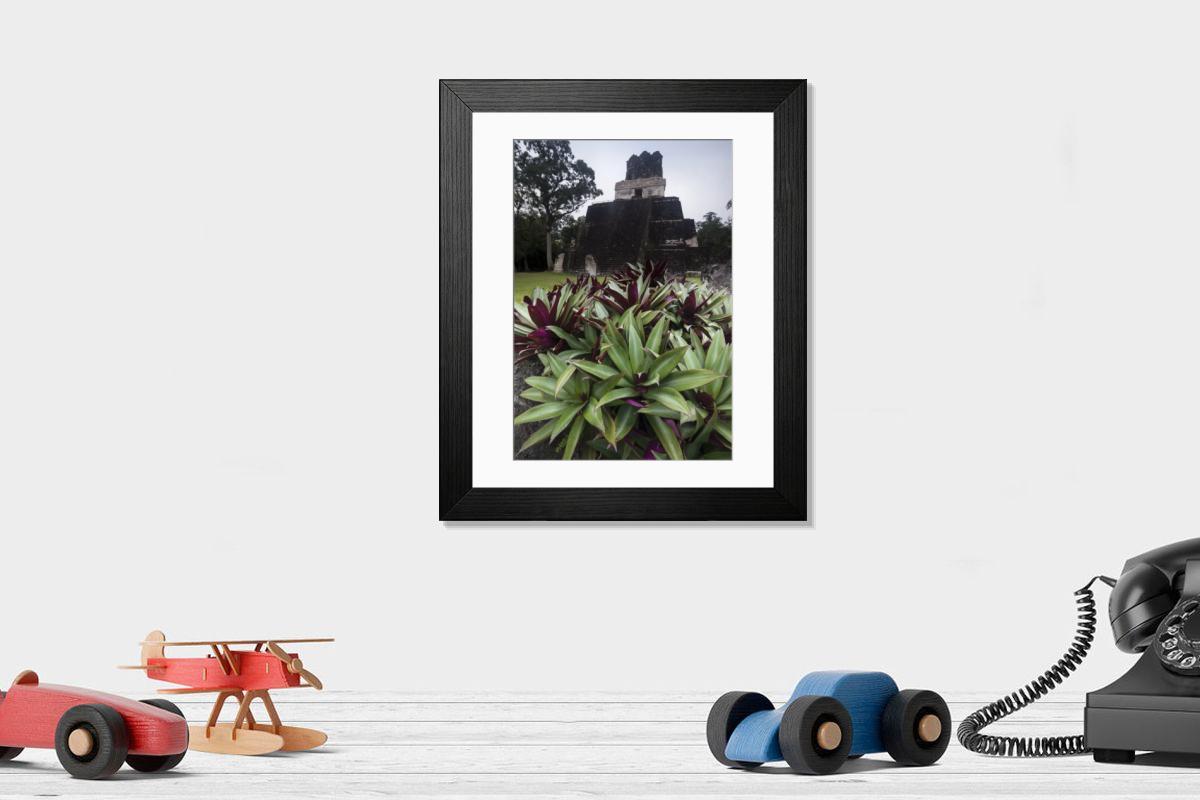 product preview 0