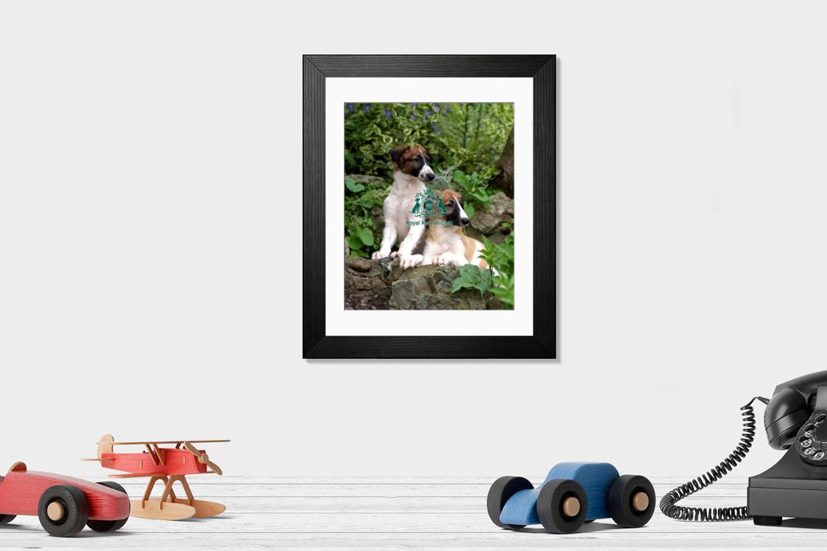 product preview 0