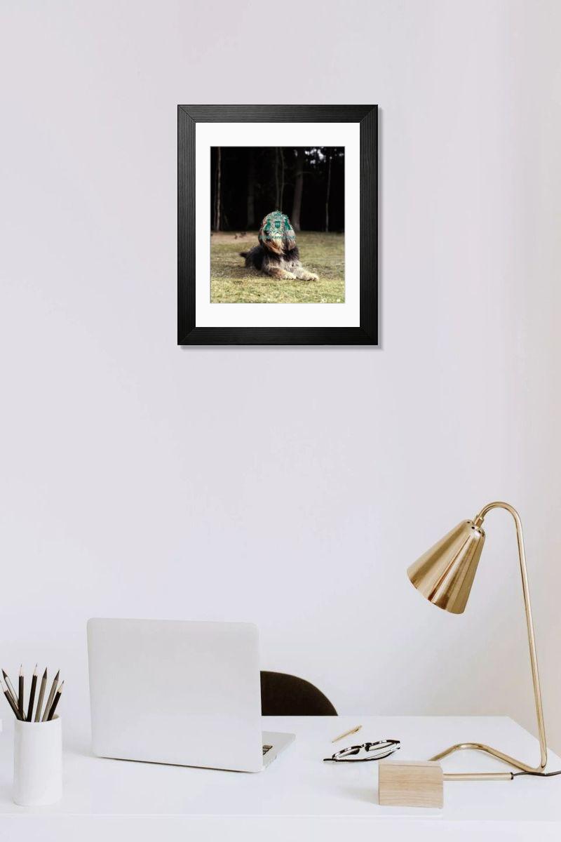 product preview 0