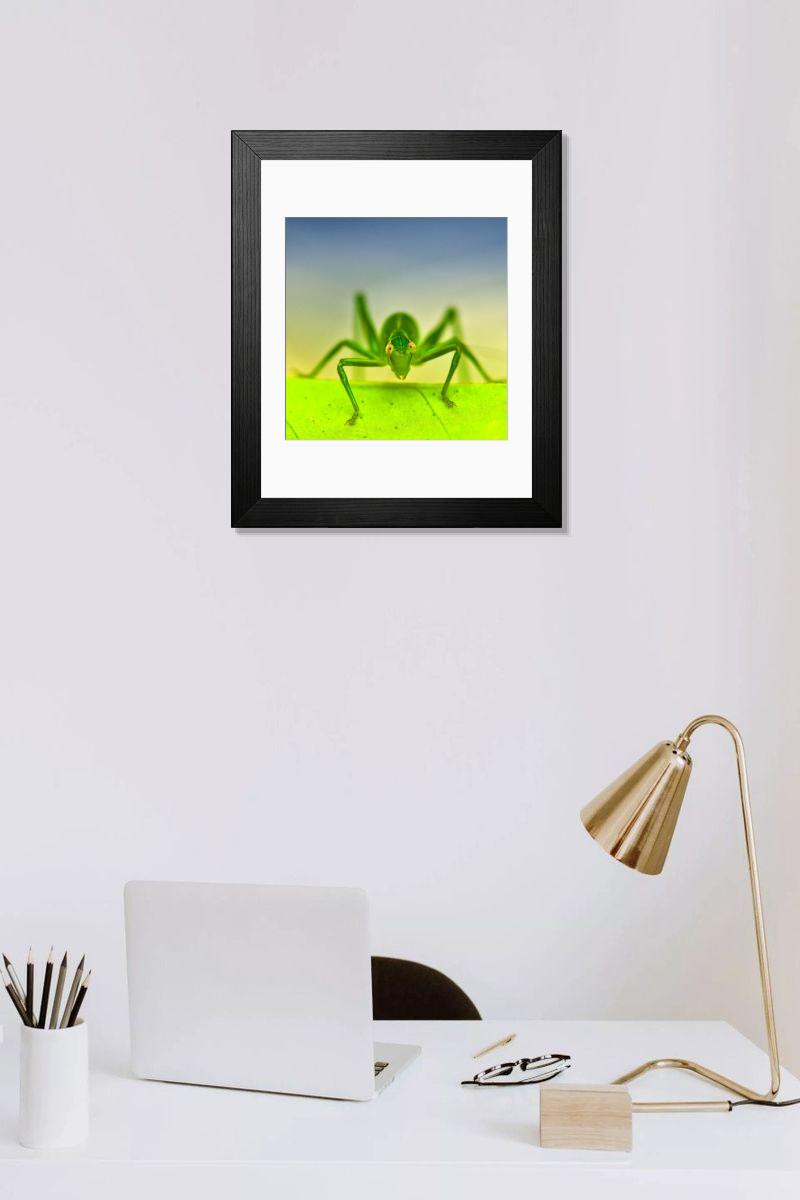 product preview 0