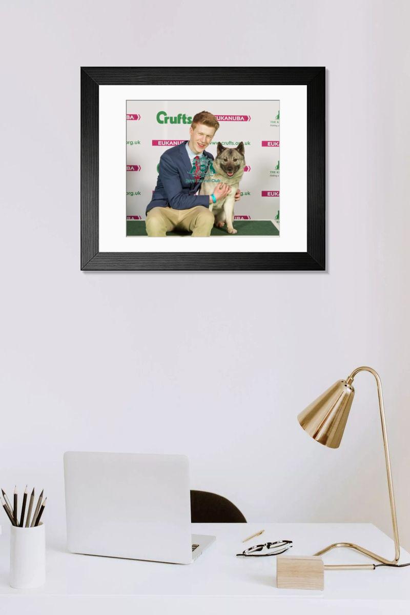 product preview 0