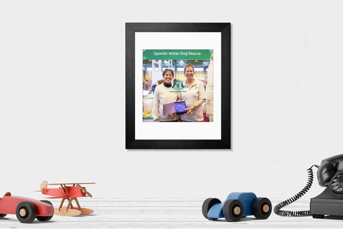product preview 0