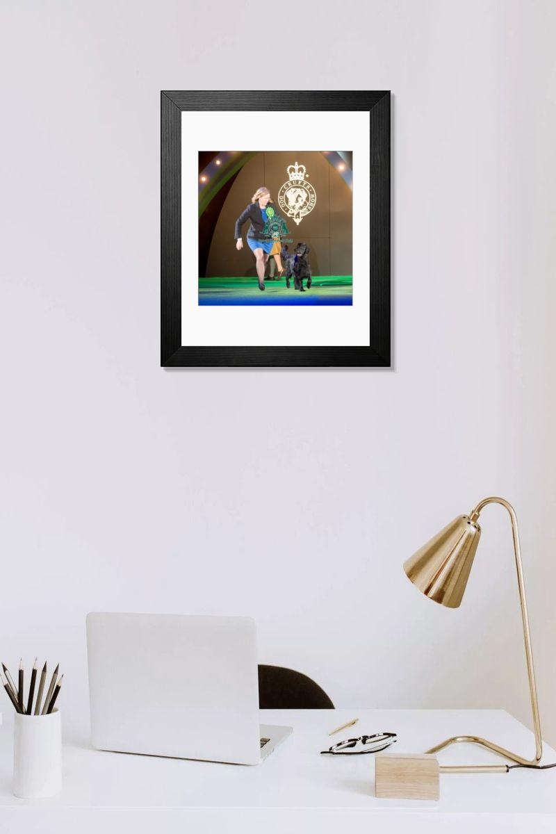product preview 0