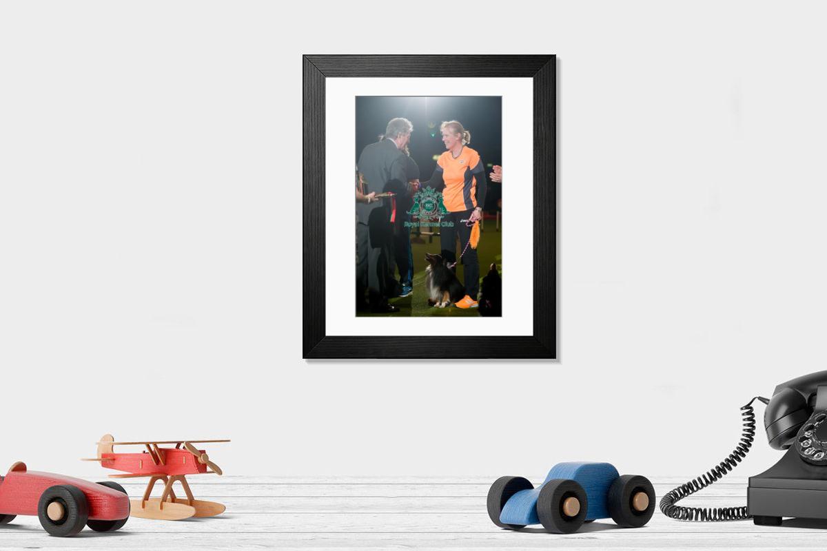 product preview 0