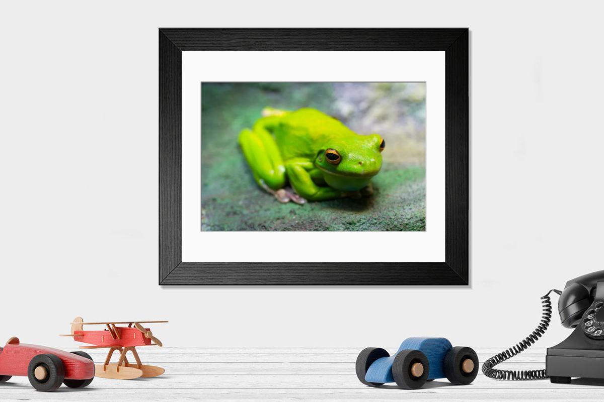 product preview 0