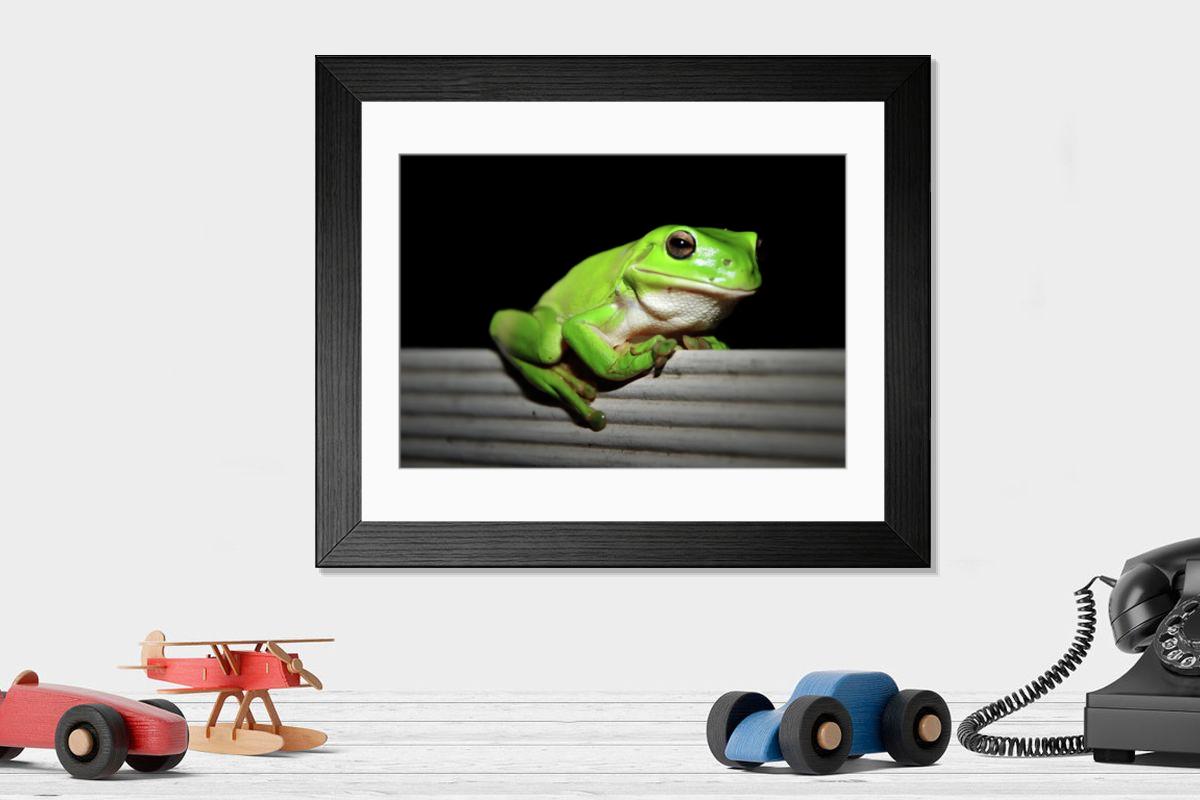 product preview 0