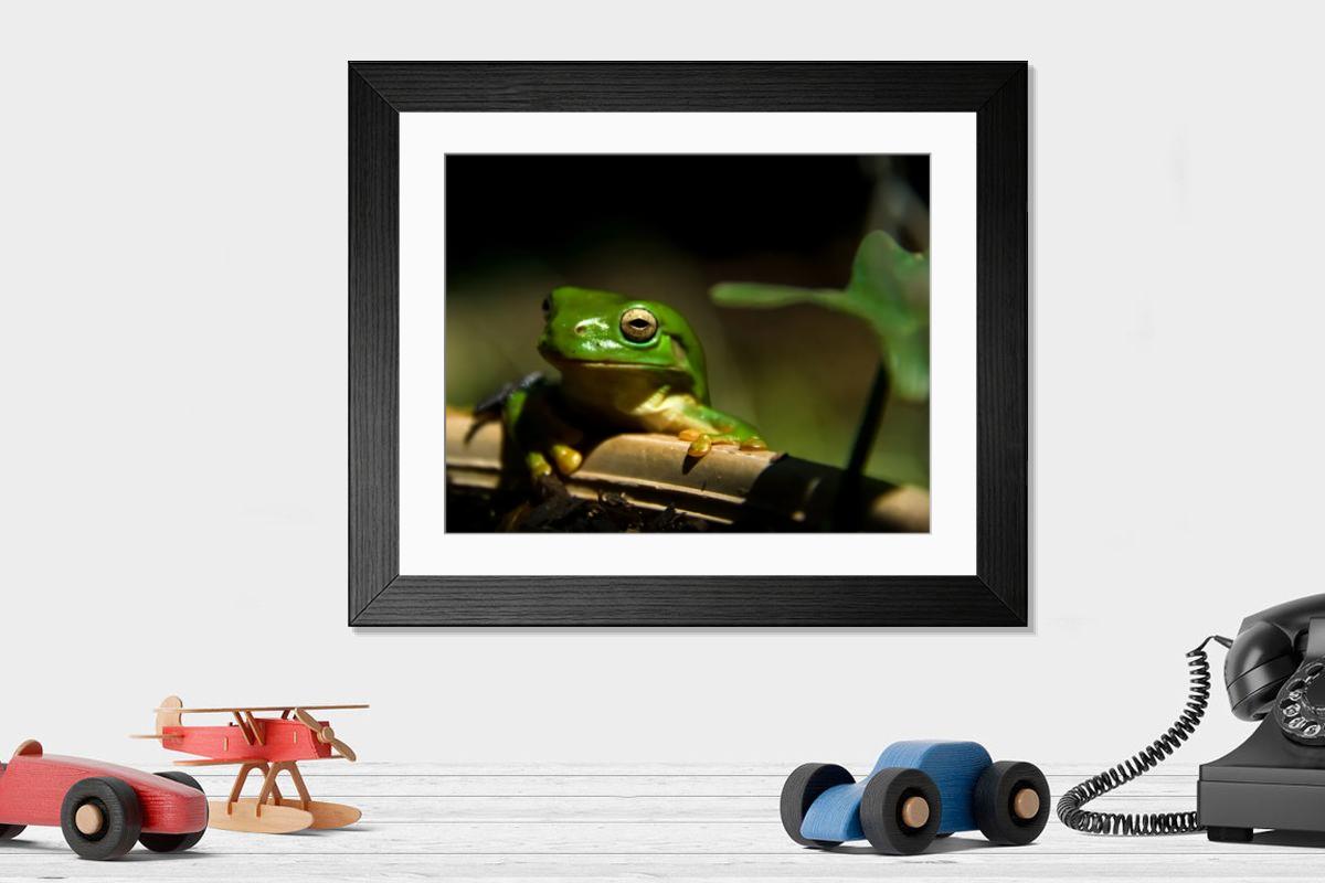 product preview 0