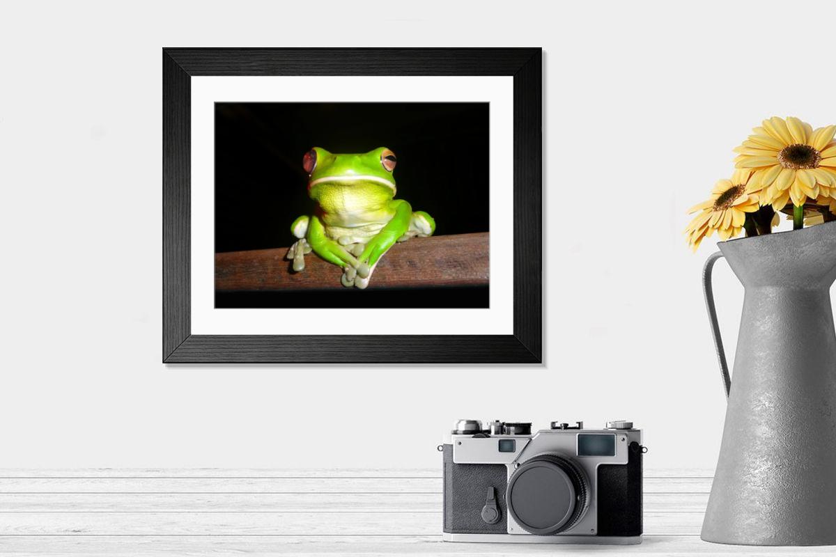 product preview 0