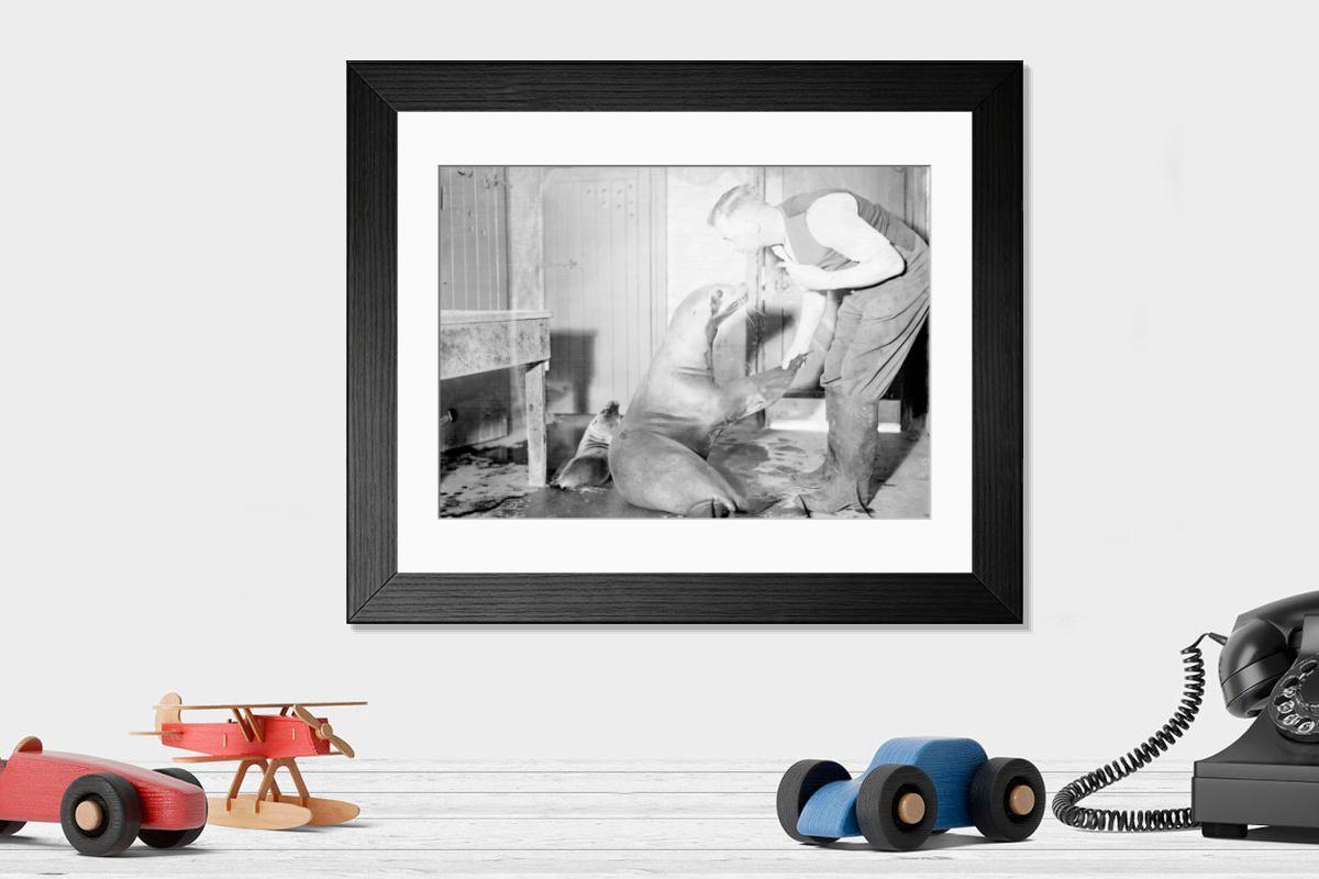 Shown hanging in a room: Modern 14"x12" (36x31cm)