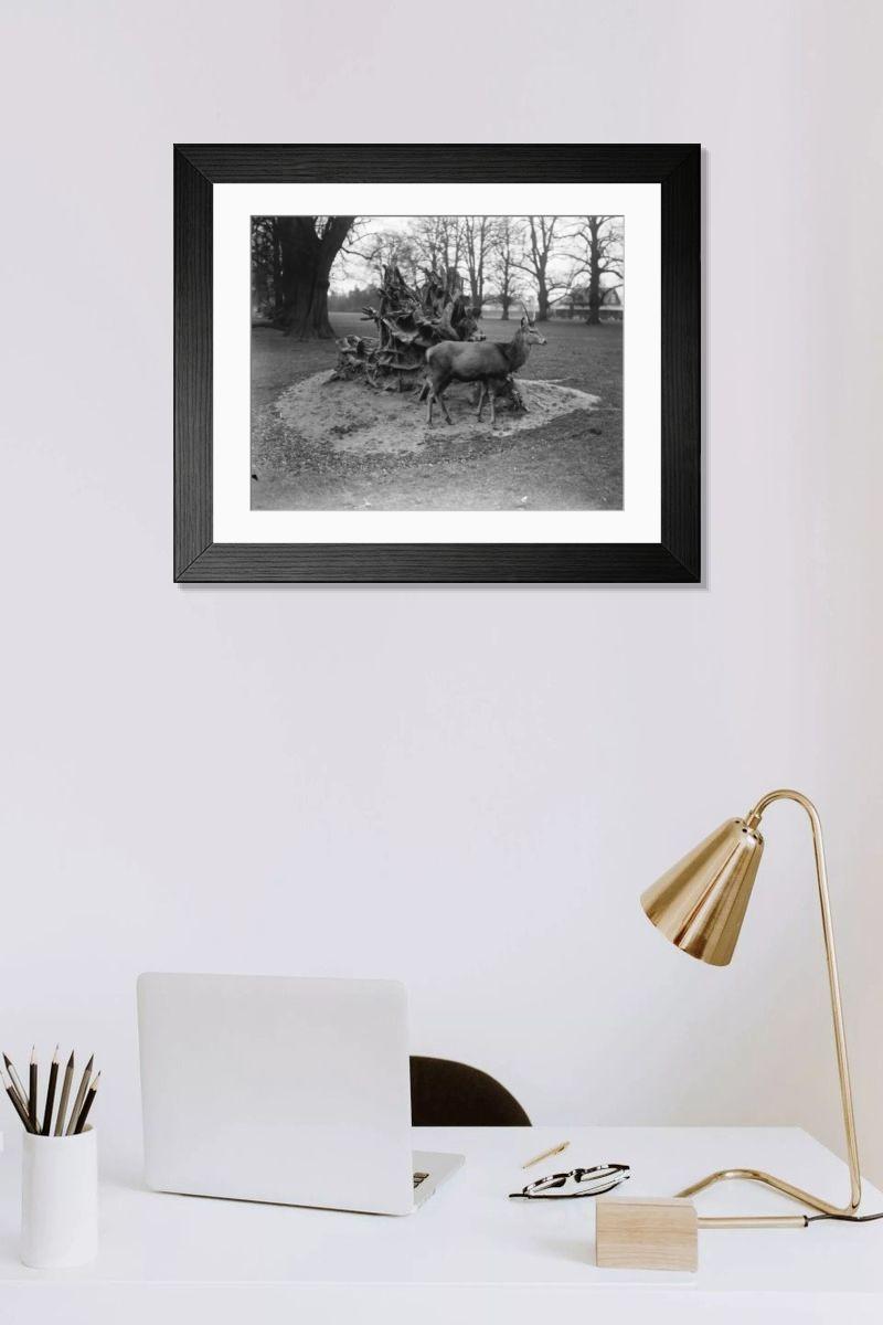 Shown hanging in a room: Modern 14"x12" (36x31cm)