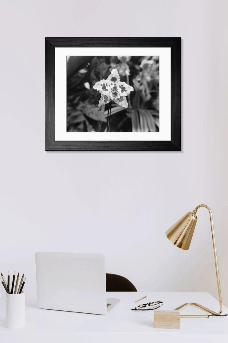 Shown hanging in a room: Modern 14"x12" (36x31cm)