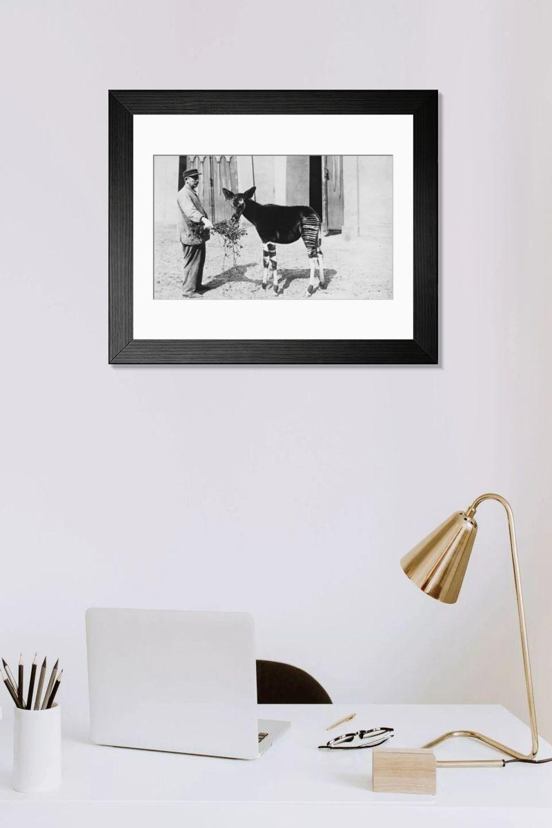 Shown hanging in a room: Modern 14"x12" (36x31cm)